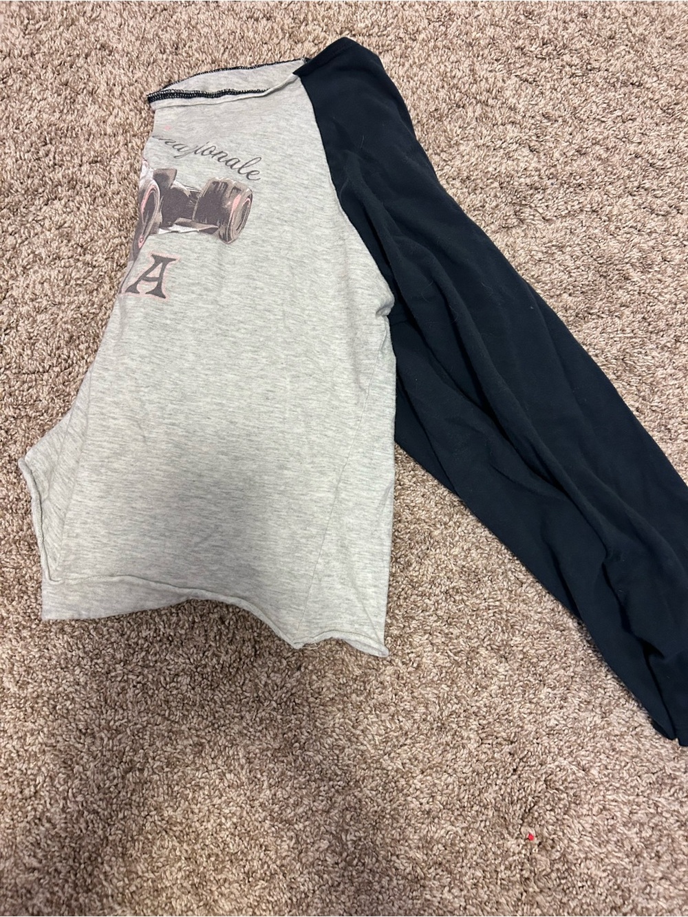 Hollister Two-Tone Raglan Long Sleeve Top in Light Gray and Black
